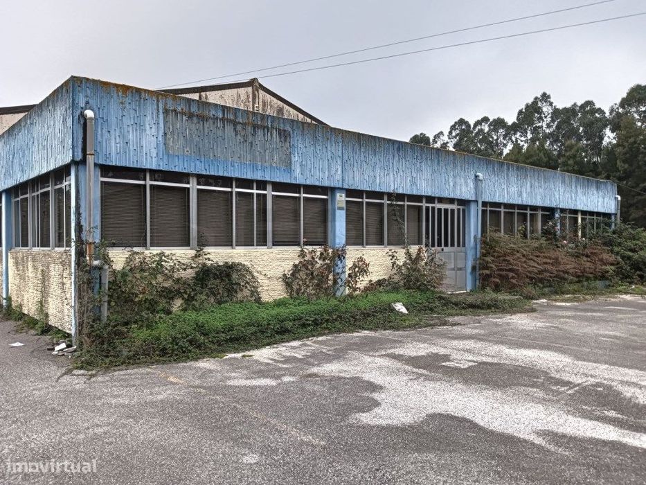 Pavilhão Industrial - Vagos