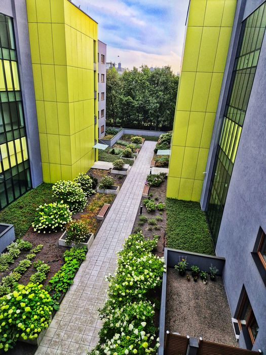 Apartament Wrocław Stare Miasto