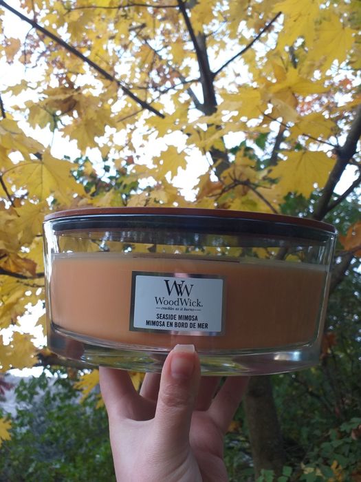Ароматична свічка WoodWick 453,6 гр (Оригінальна)+ Подарунок