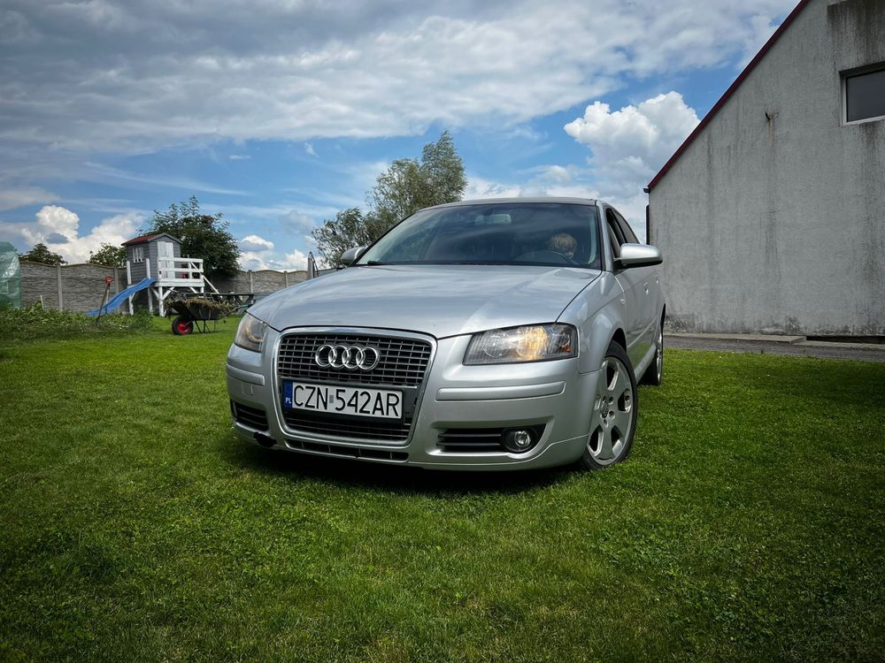 Audi a3 8p 1.9 TDI