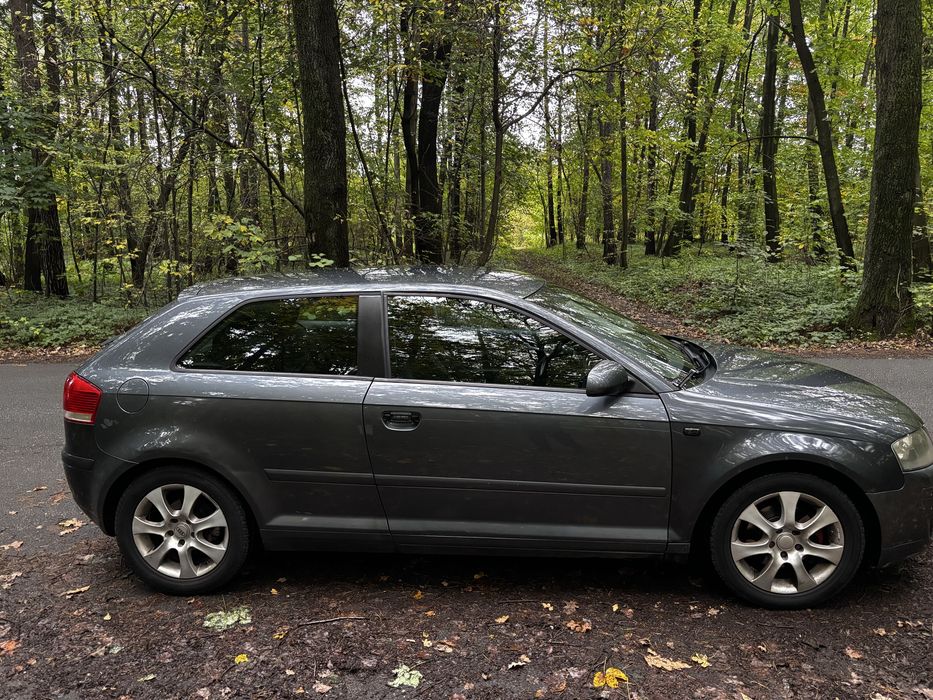 Audi A3 8p 1,6+Lpg