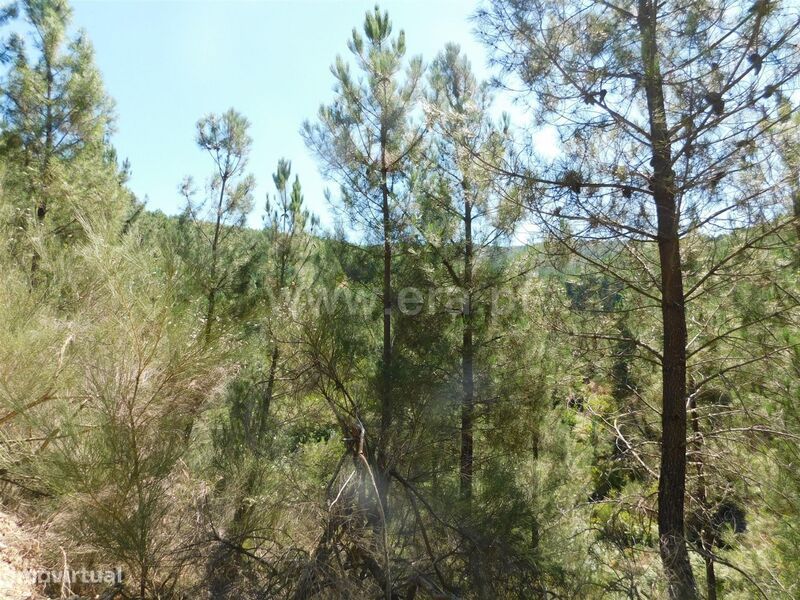 Terreno / Fundão, Enxabarda
