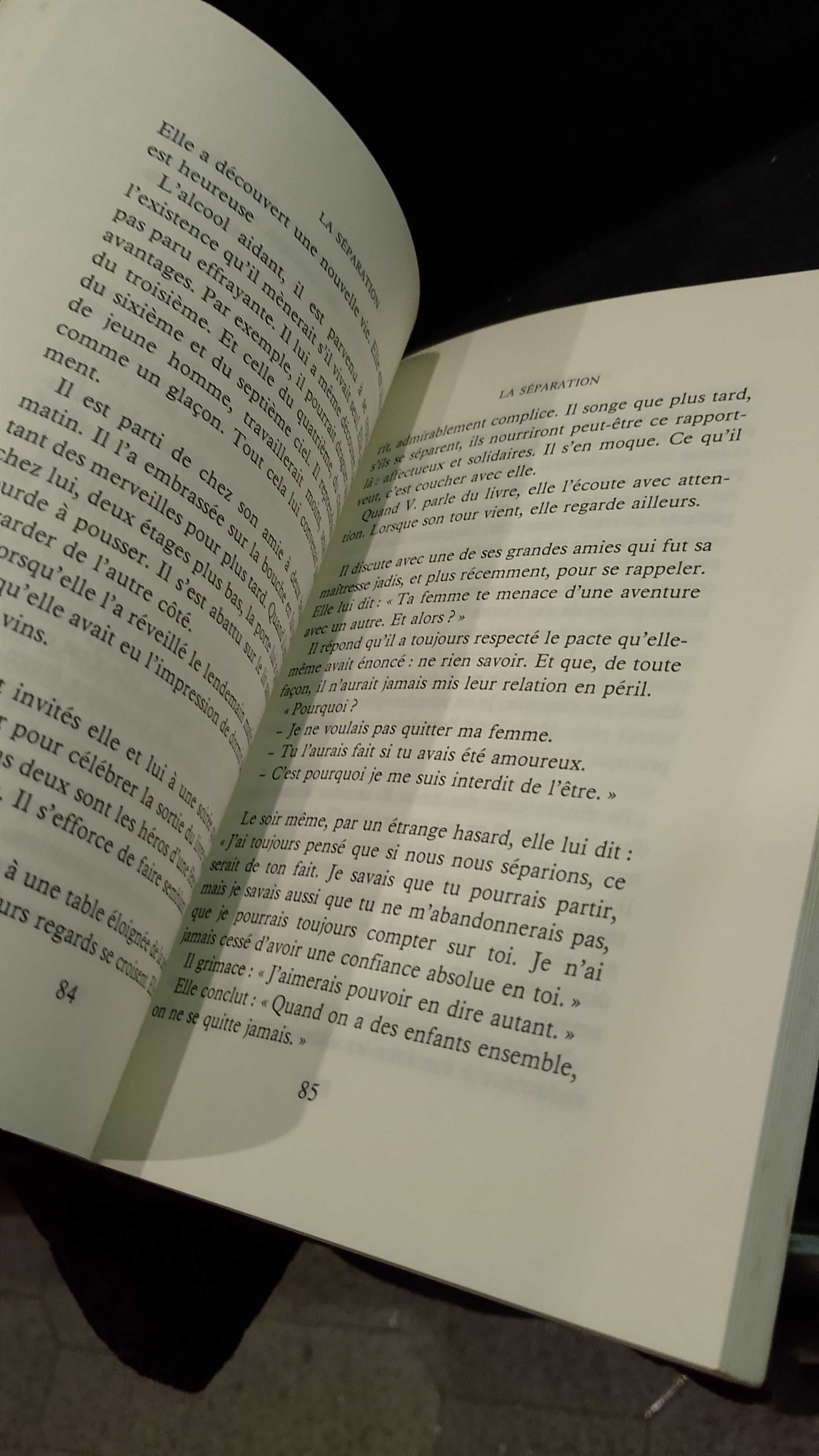 La Séparation - Dan Franck