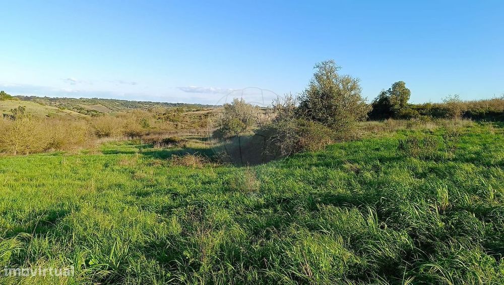 Terreno  para venda