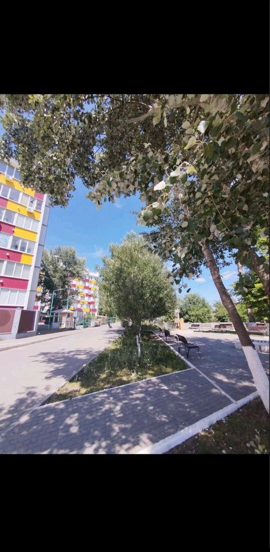 ‼️Посуточно студия Барабашова Академика Павлова Студенческая  Укрытие