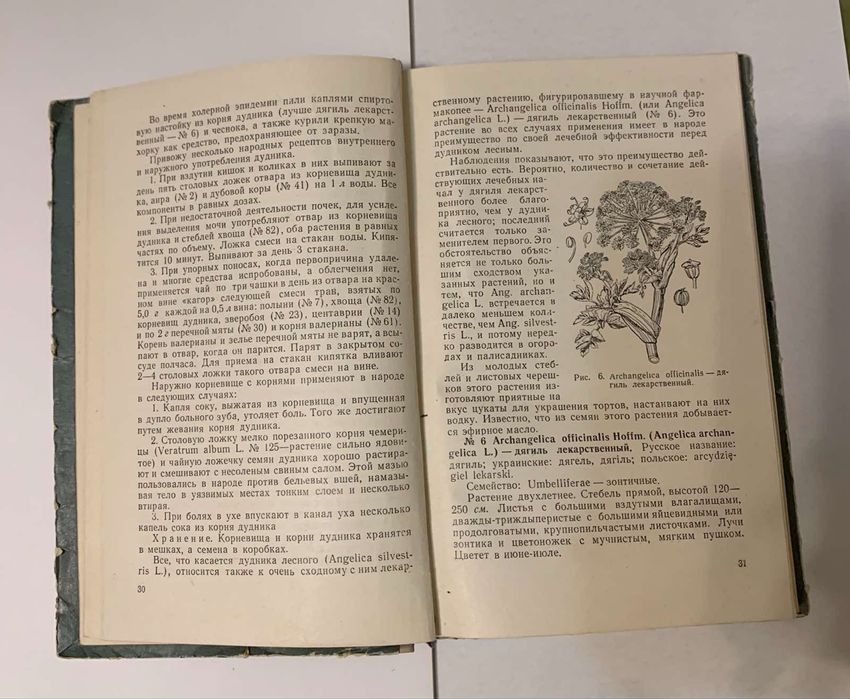 Лекарственные растения и способы их применения в народе. М. А.Носаль.