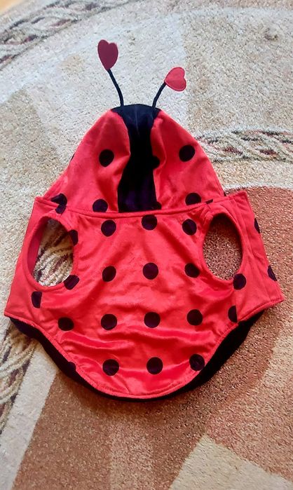 Ubranko" Biedronka" z aksamitu dla małego psa 4-6 kg,na rzepy