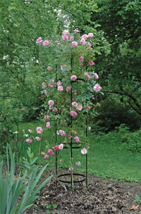 Pergola ogrodowa kolumna na róże metalowa podpora do roślin 190cm