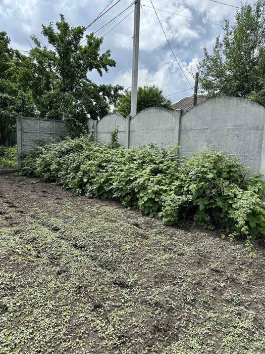 Будинок з великою ділянкою 3D ТУР