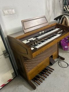 Organy elektryczne Diamond 805