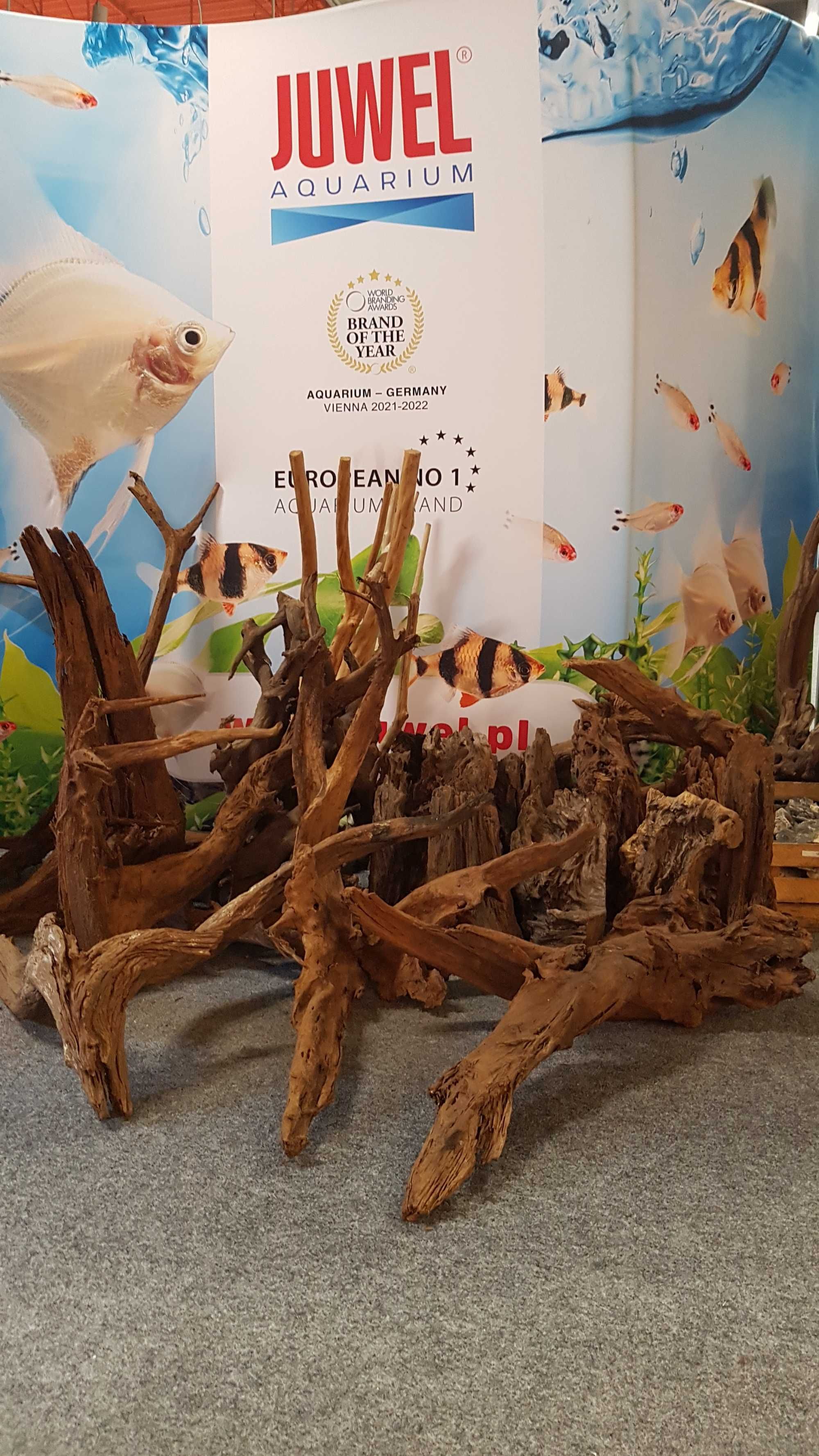 Korzenie ozdobne do akwarium, terrarium, wyposażenie, serwis