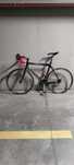 Rower Szosowy Sensa Calabria | Shimano Ultegra | Carbon | Rozmiar L