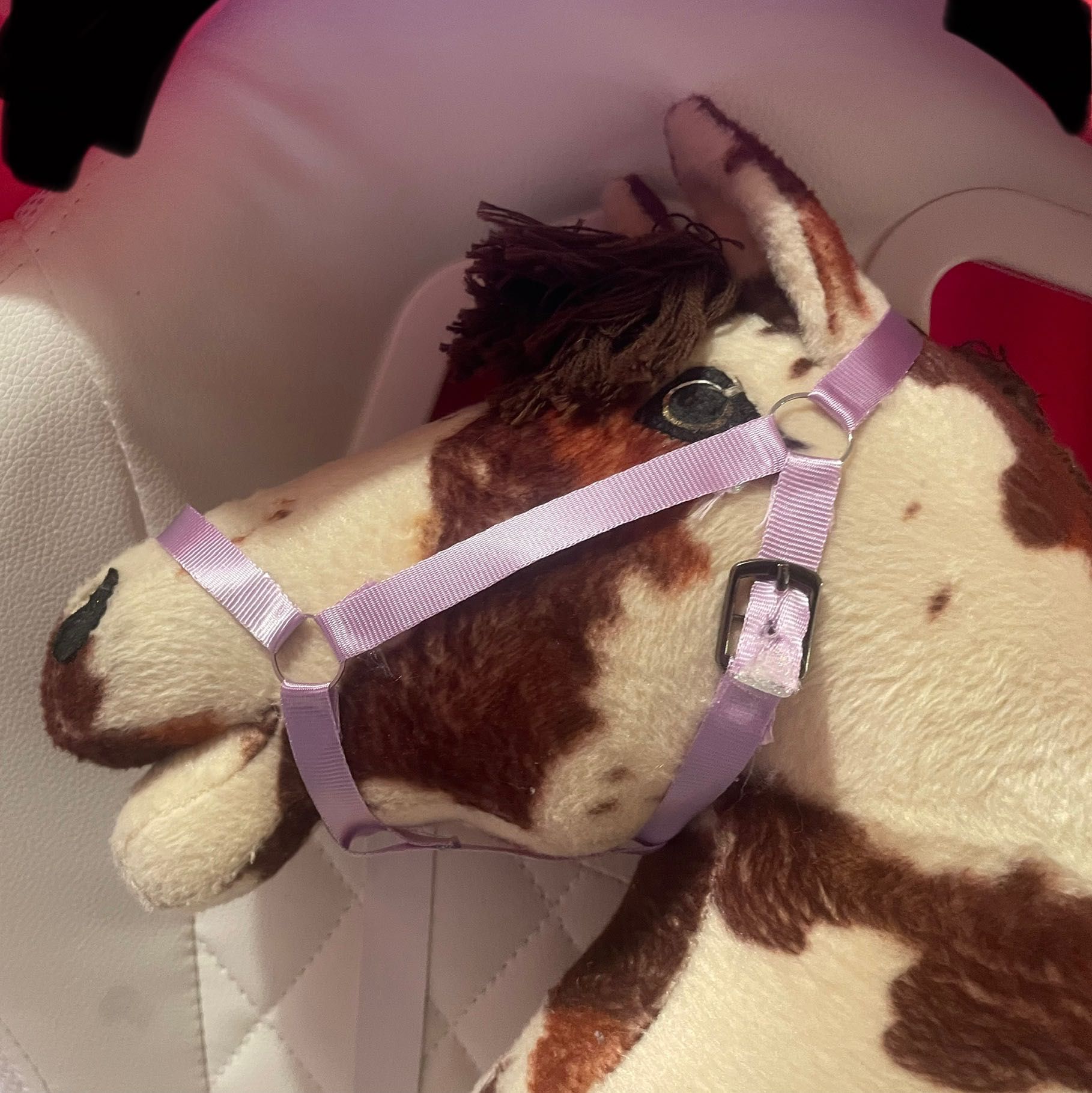 Kantar dla hobby horse