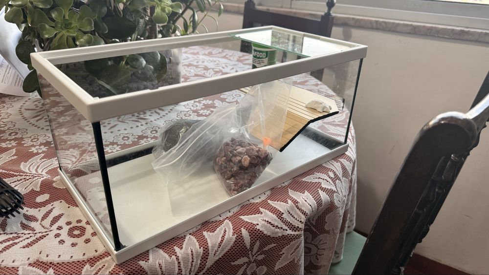Aquario para tartaruga