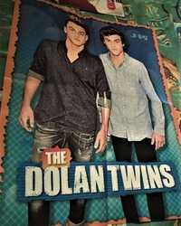 Плaкaт,постер группa  The Dolan Twins