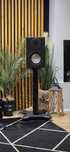 Monitor Audio Platinium 100 g2 na gw!