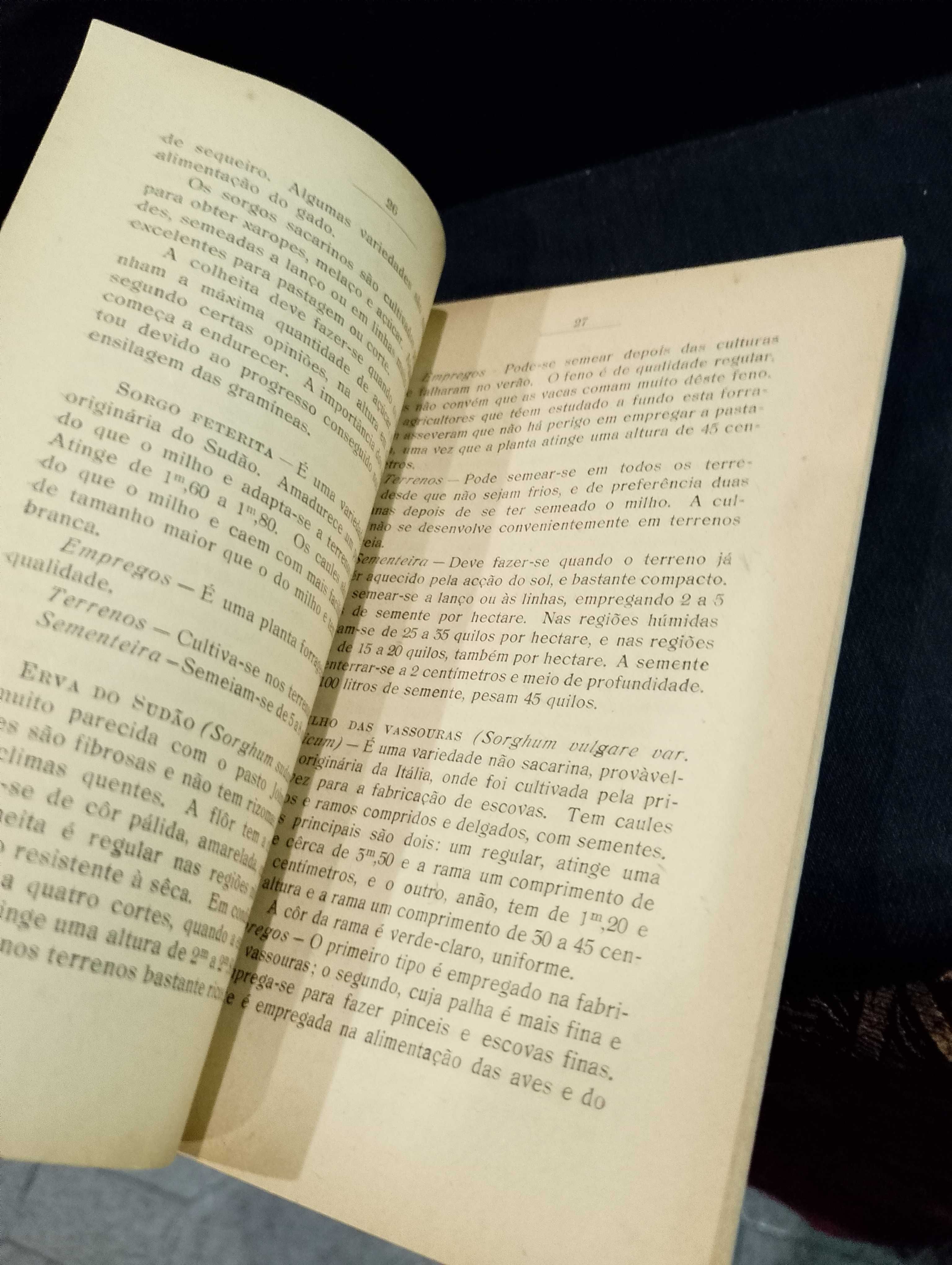 Prados e Pastagens 1944 Armando Xavier da Fonseca