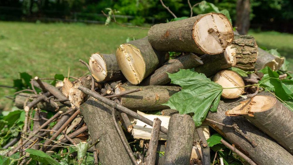 Rębak spalinowy REMET RS-100 == rozdrabniacz do ogrodu == NOWY