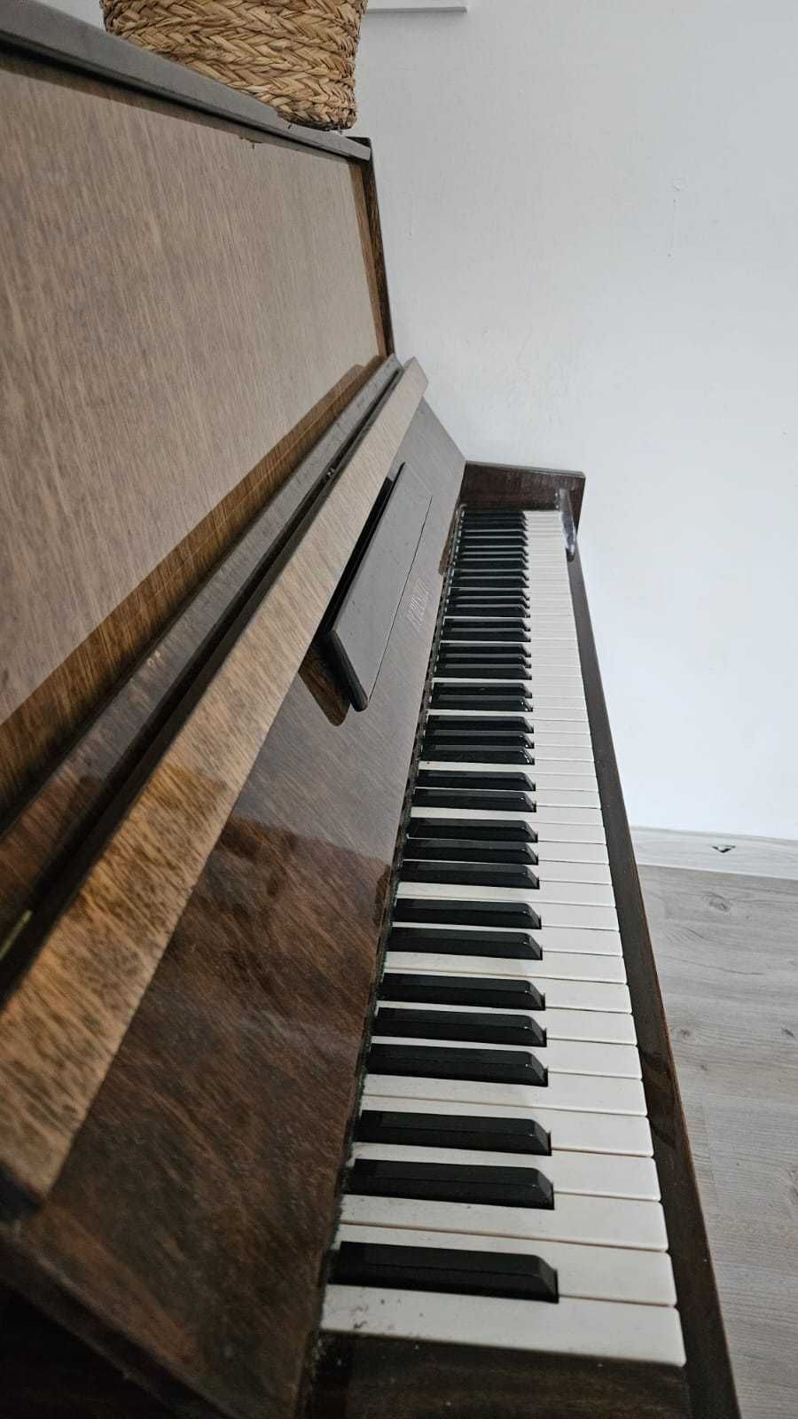 Pianino Rubinstein