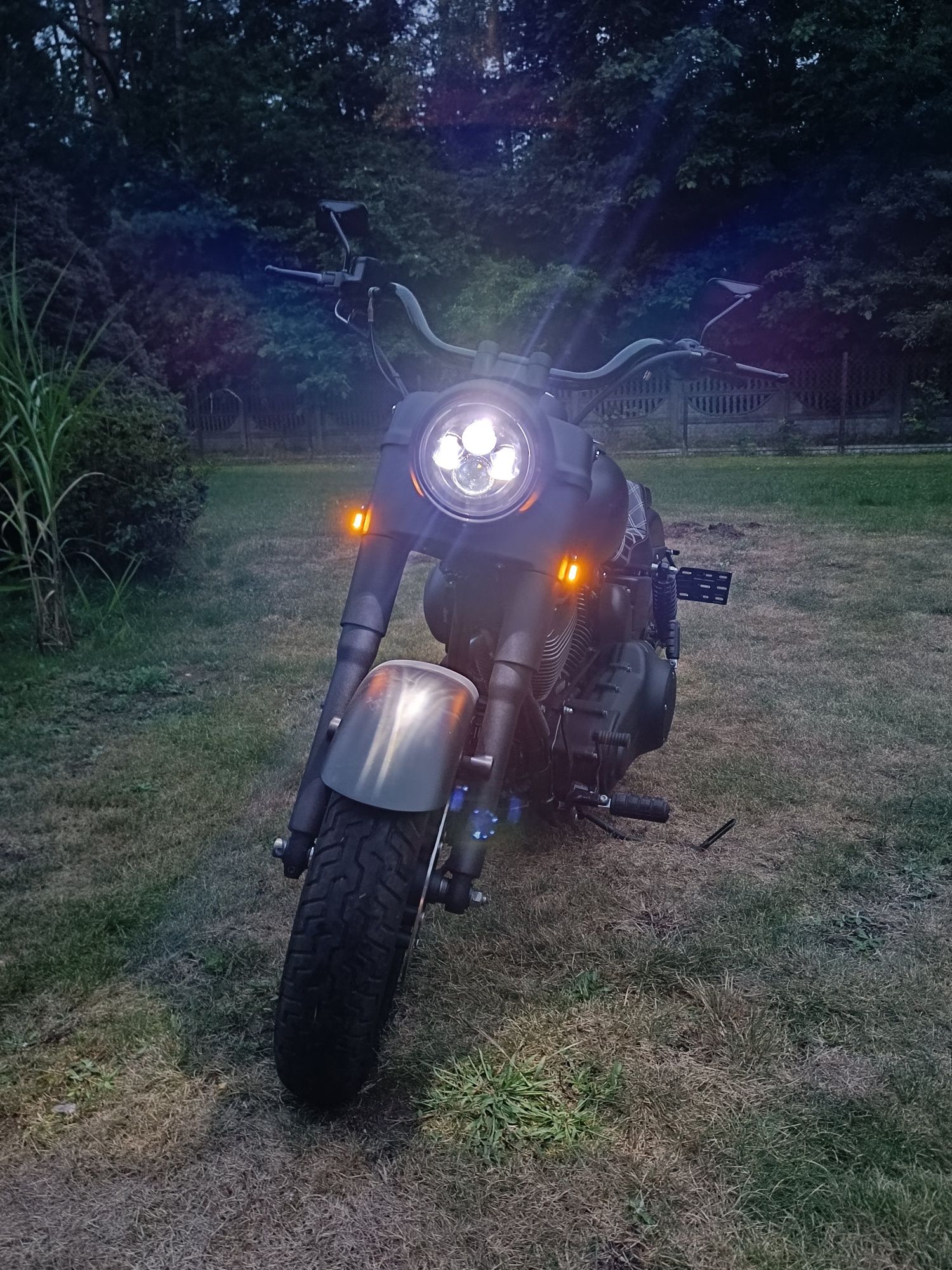 Harley Davidson Dyna Low