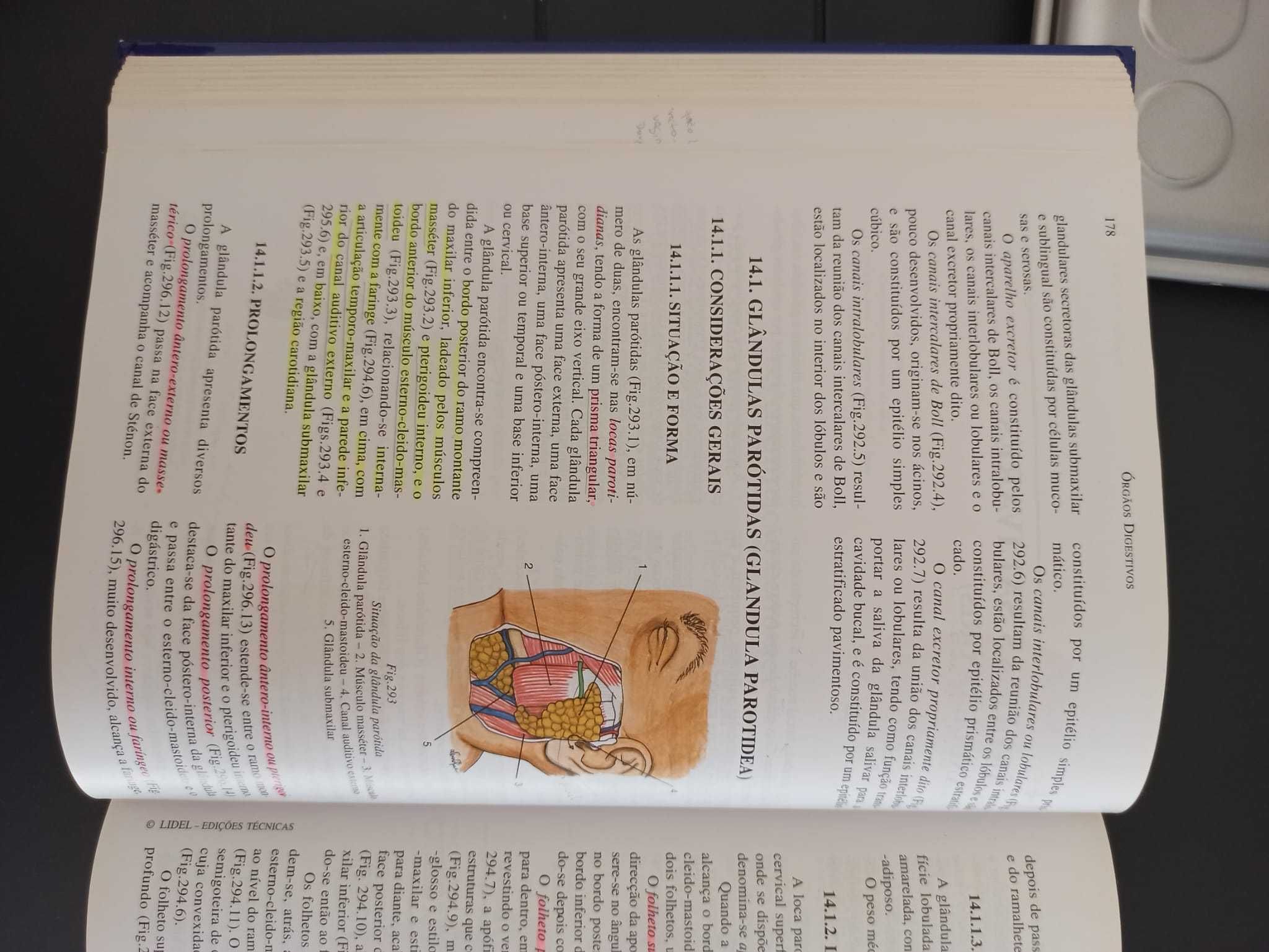 Livro Médico - Anatomia Humana dos Orgãos