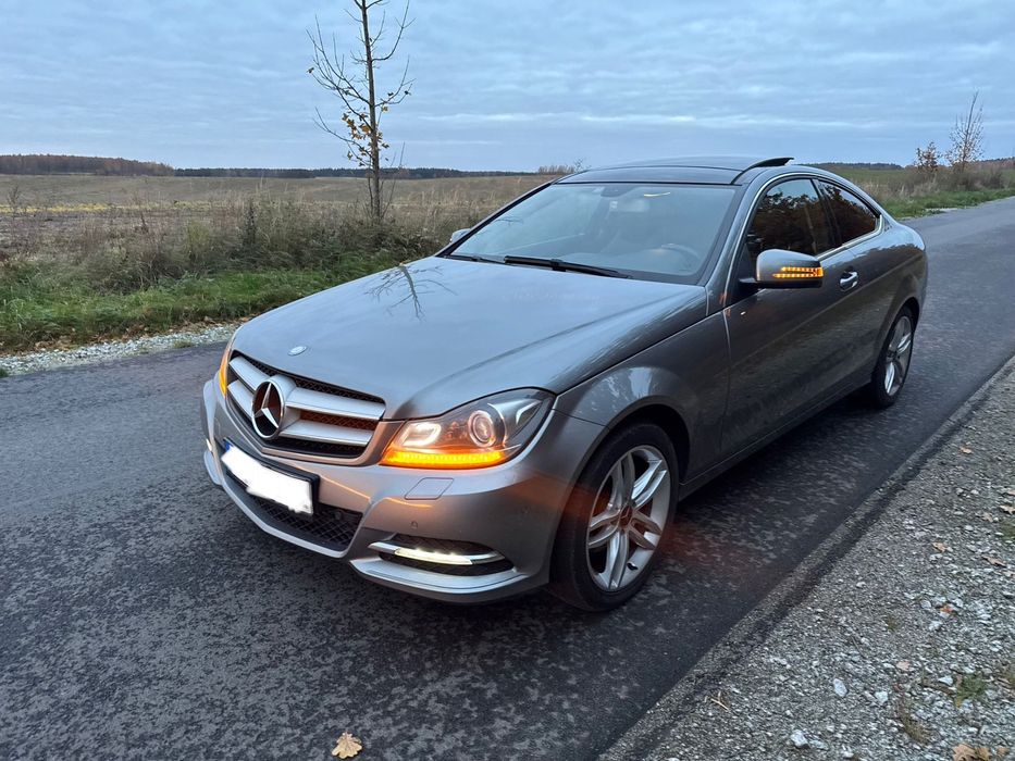 Mercedes-Benz Klasa C Panorama 220 CDI / Xenon