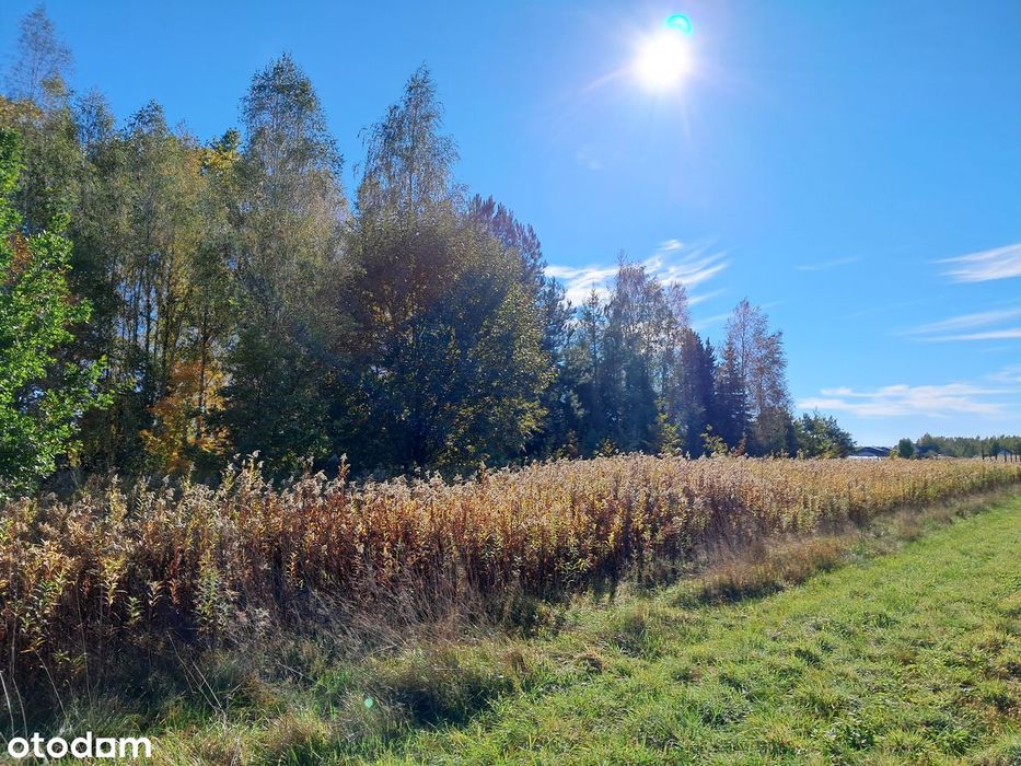 Celinów gm. Dębe Wielkie - 700 m2, warunki zabudowy.