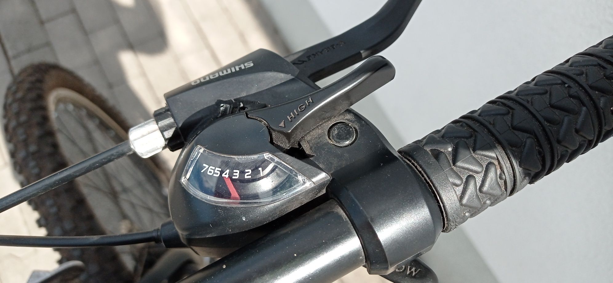 Rower Indiana 29''