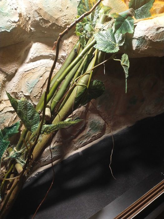 Terraria szklane, drewniane (produkcja)