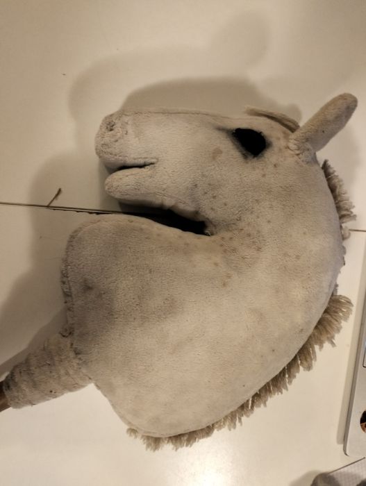 Hobby horse w fioletowym kantarem