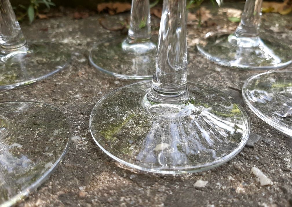 Komplet Kieliszków do Szampana do Domu Baru Wina Alkoholu Kieliszki