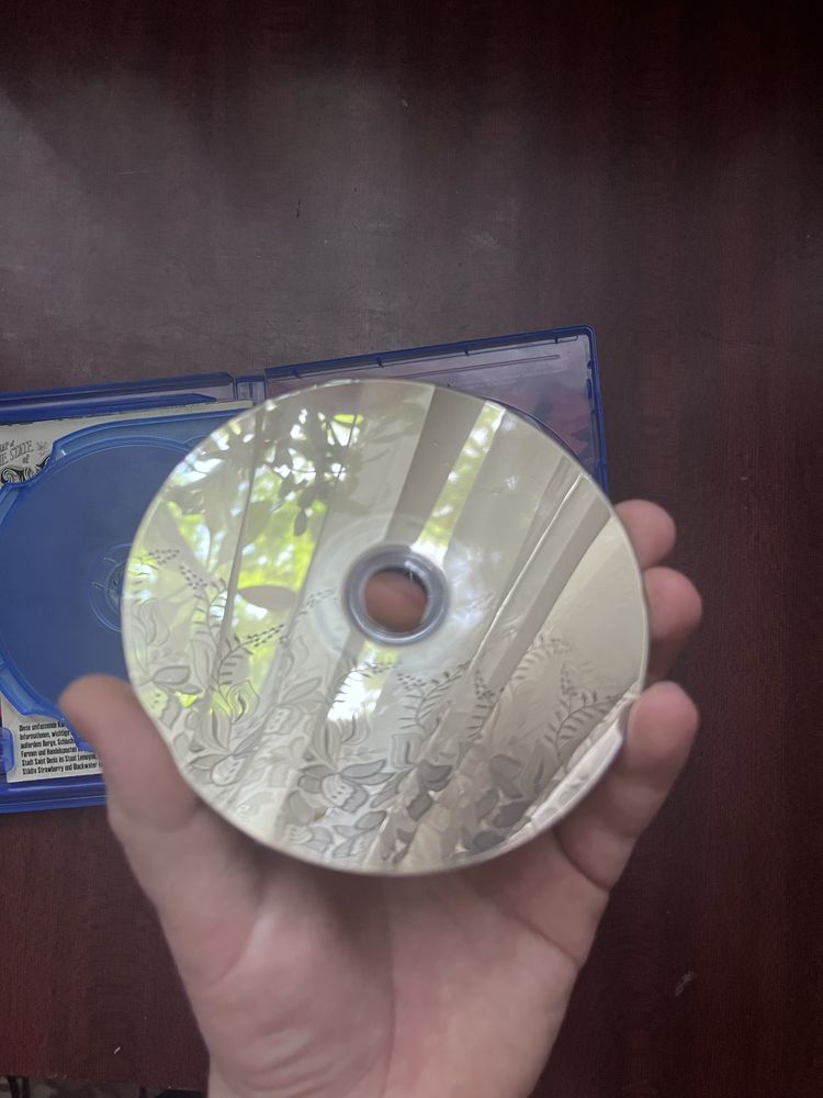 Диск Red Dead Redemption 2