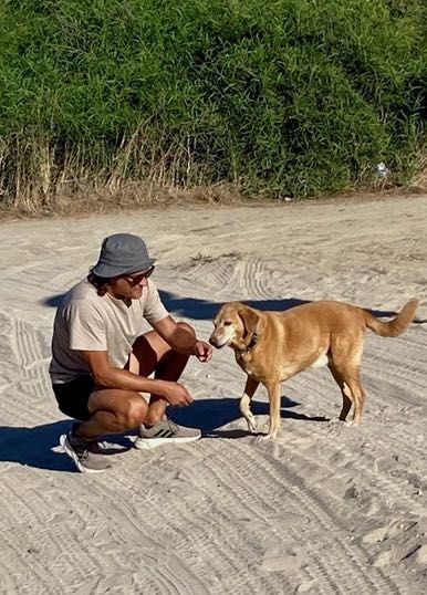 Happy Paws - Passeios fiáveis e seguros em Almada e Lisbon