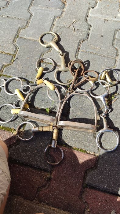 Wędzidła i strzemiona dla konia