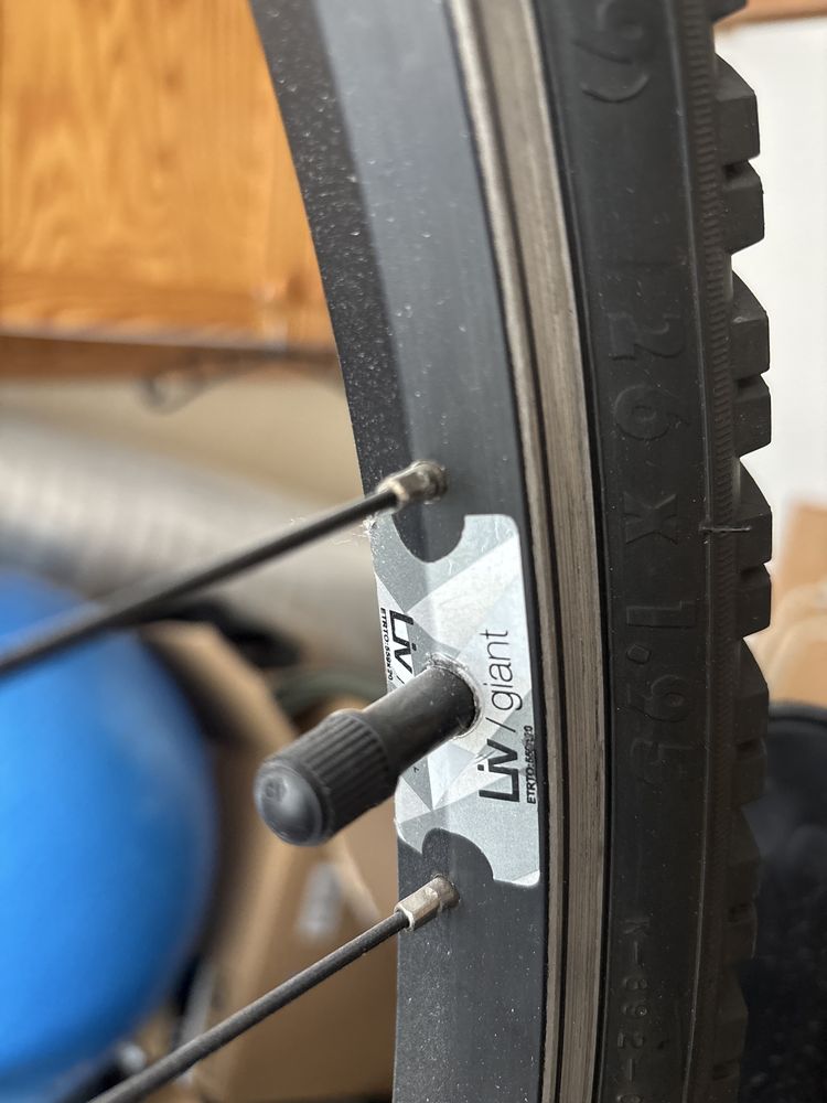 rower górski Liv Enchanted Giant S
