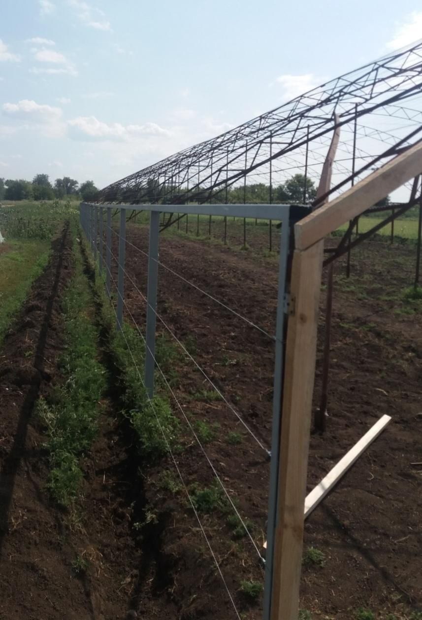 Продам балаган (теплицу)