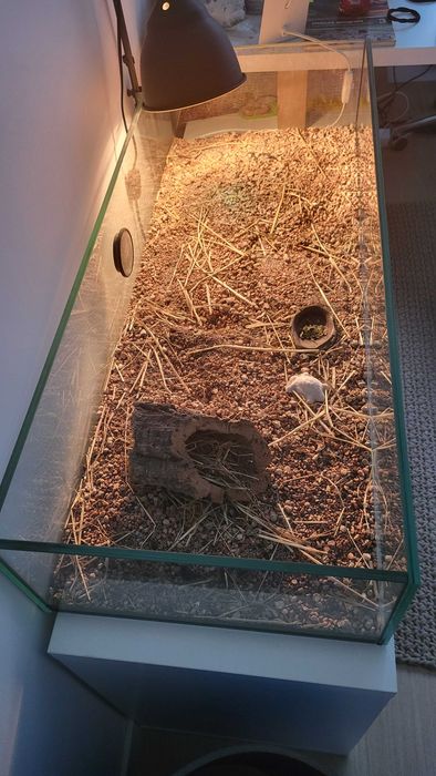Terarium z lampą