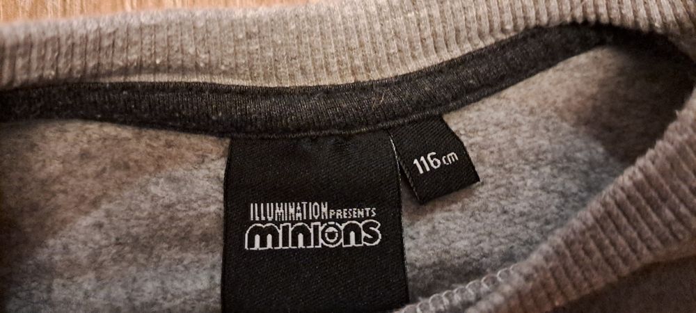 Bluza dresowa Minionki rozm. 116