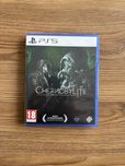 Chernobylite PS5 PL