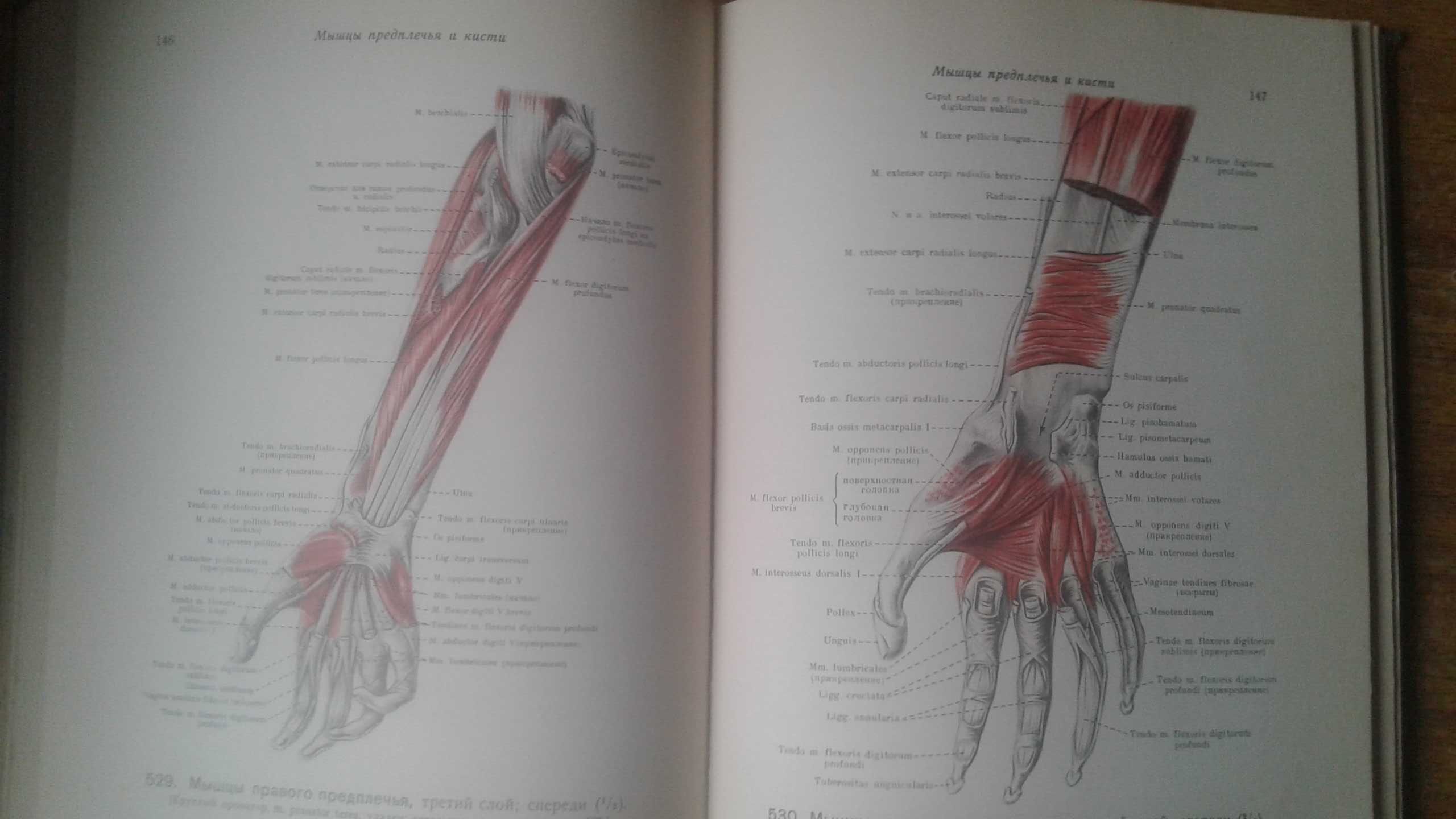 Атлас анатомии Воробьев Синельников 5 томов комплект 1946 год