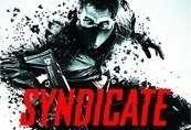 Syndicate Limited Edition Origin CD Key