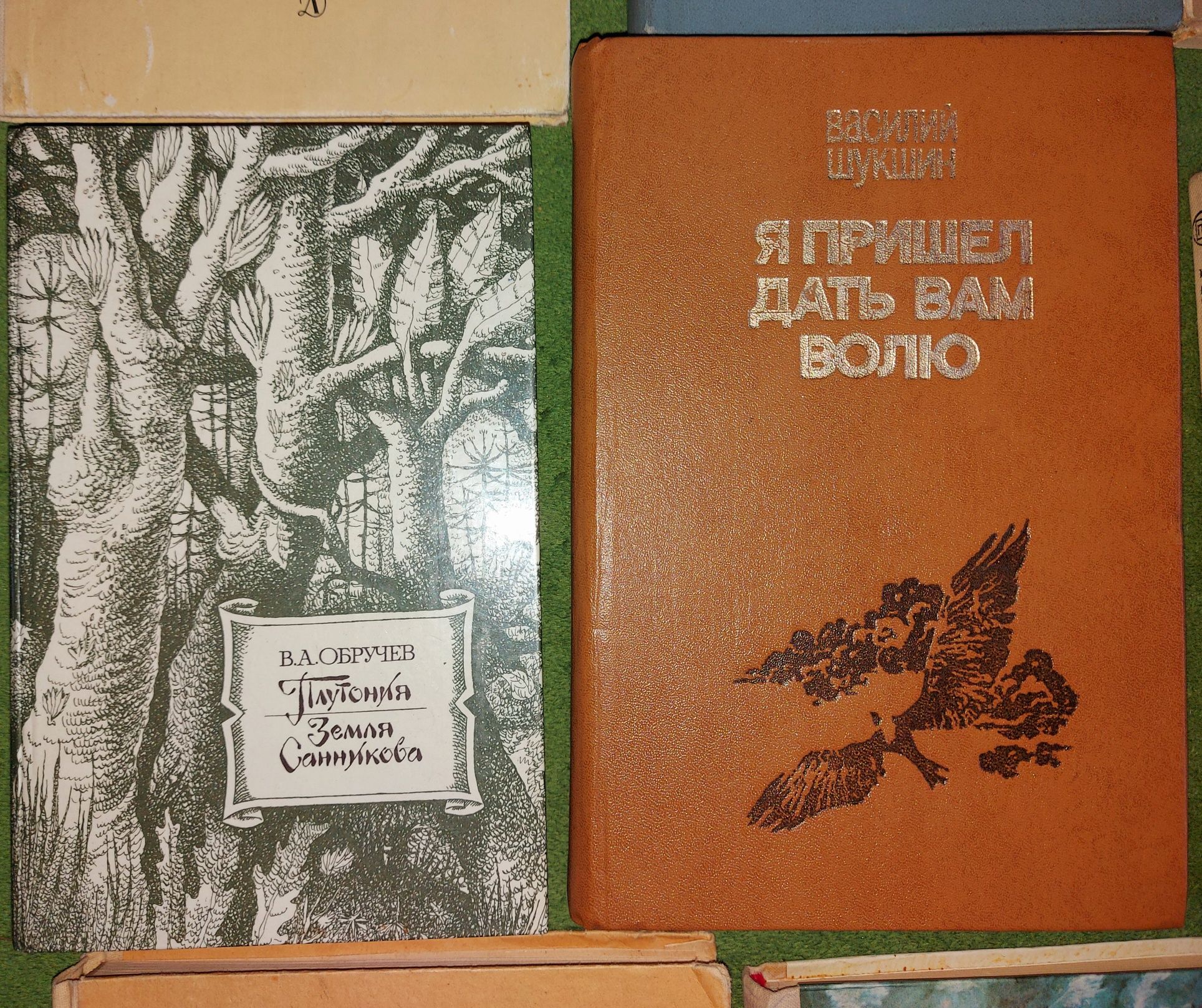 Пушкин,Шукшин,Помяловский,Толстой,Куприн,Блок,Гончаров,Обручев,Гаршин