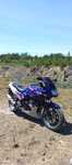Kawasaki GPZ 500s