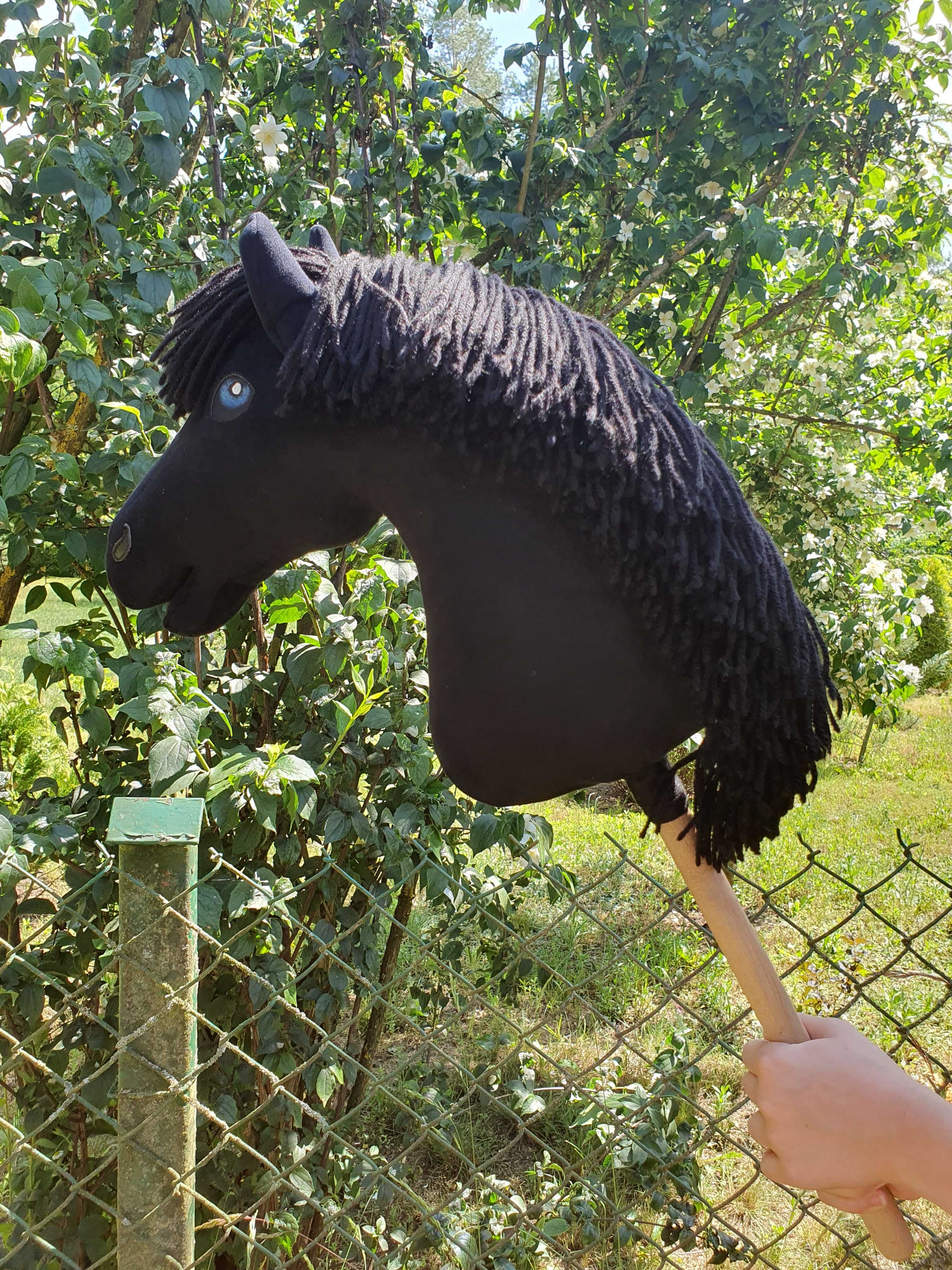 Nowy hobby horse