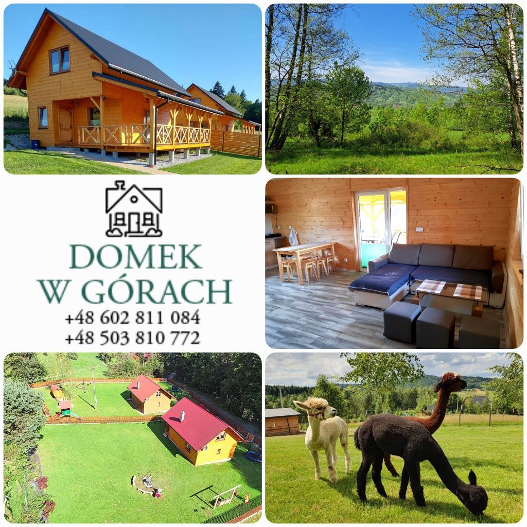 Domek  w Górach do Wynajęcia Z Basenem Jacuzzi  Święta Wakacje