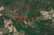 Vende-se terreno 7 ha em Nesprido, Viseu