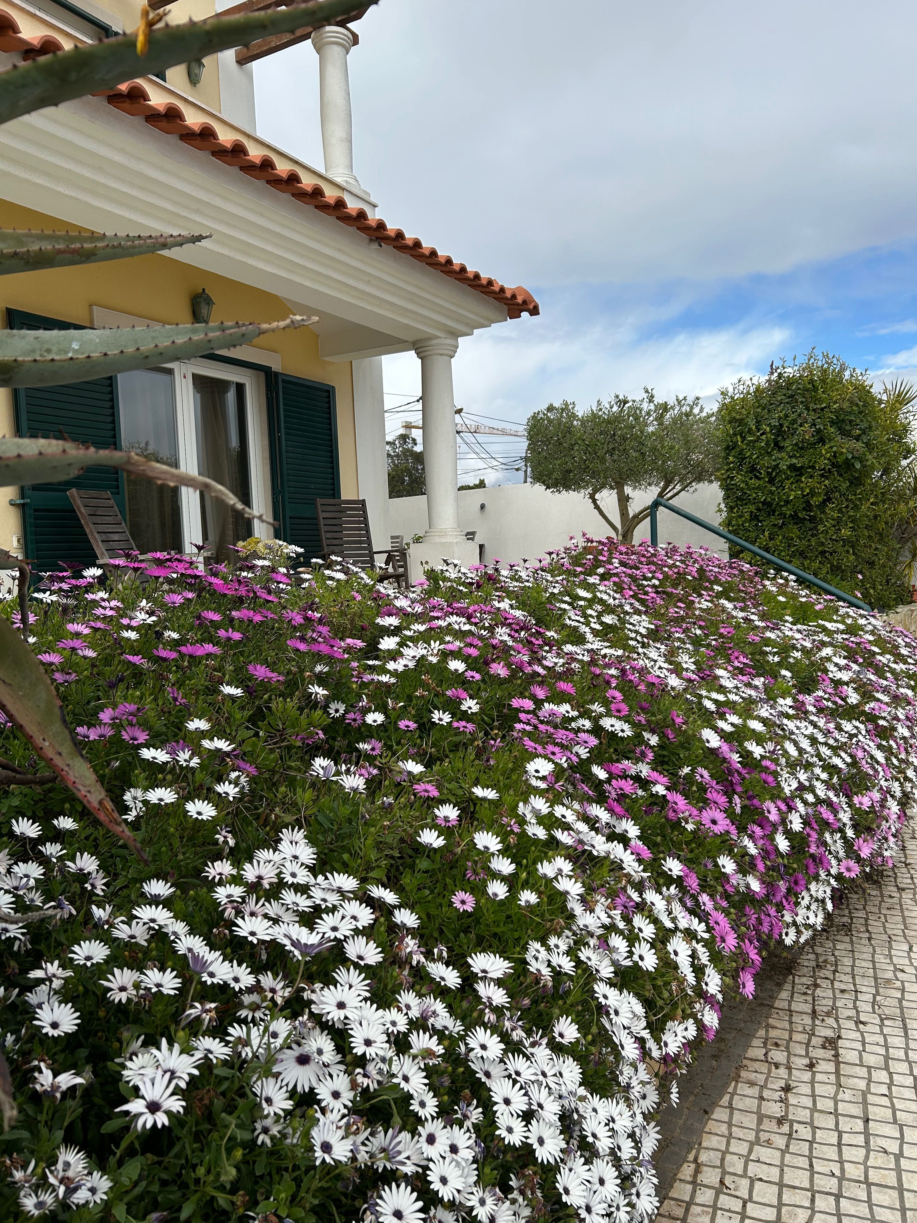 Quartos para arrendar-Charneca da Caparica-Estudantes sexo feminino