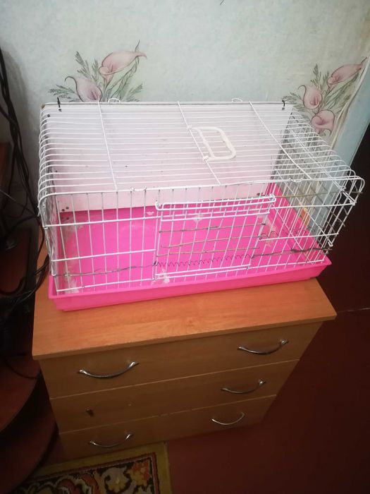 Продам клітку для гризунів