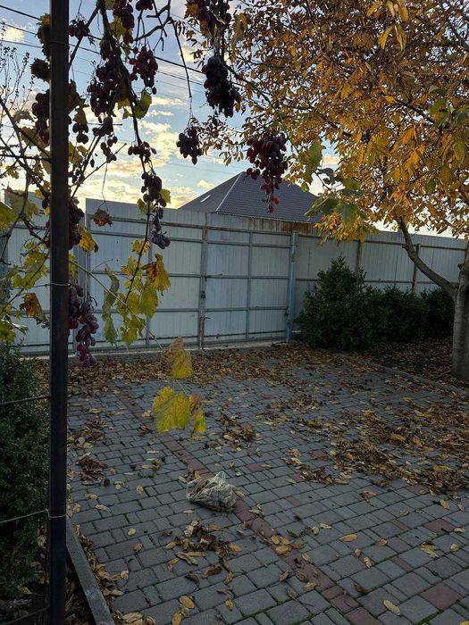 Продам дом-дачу в селе Новая  Дофиновка