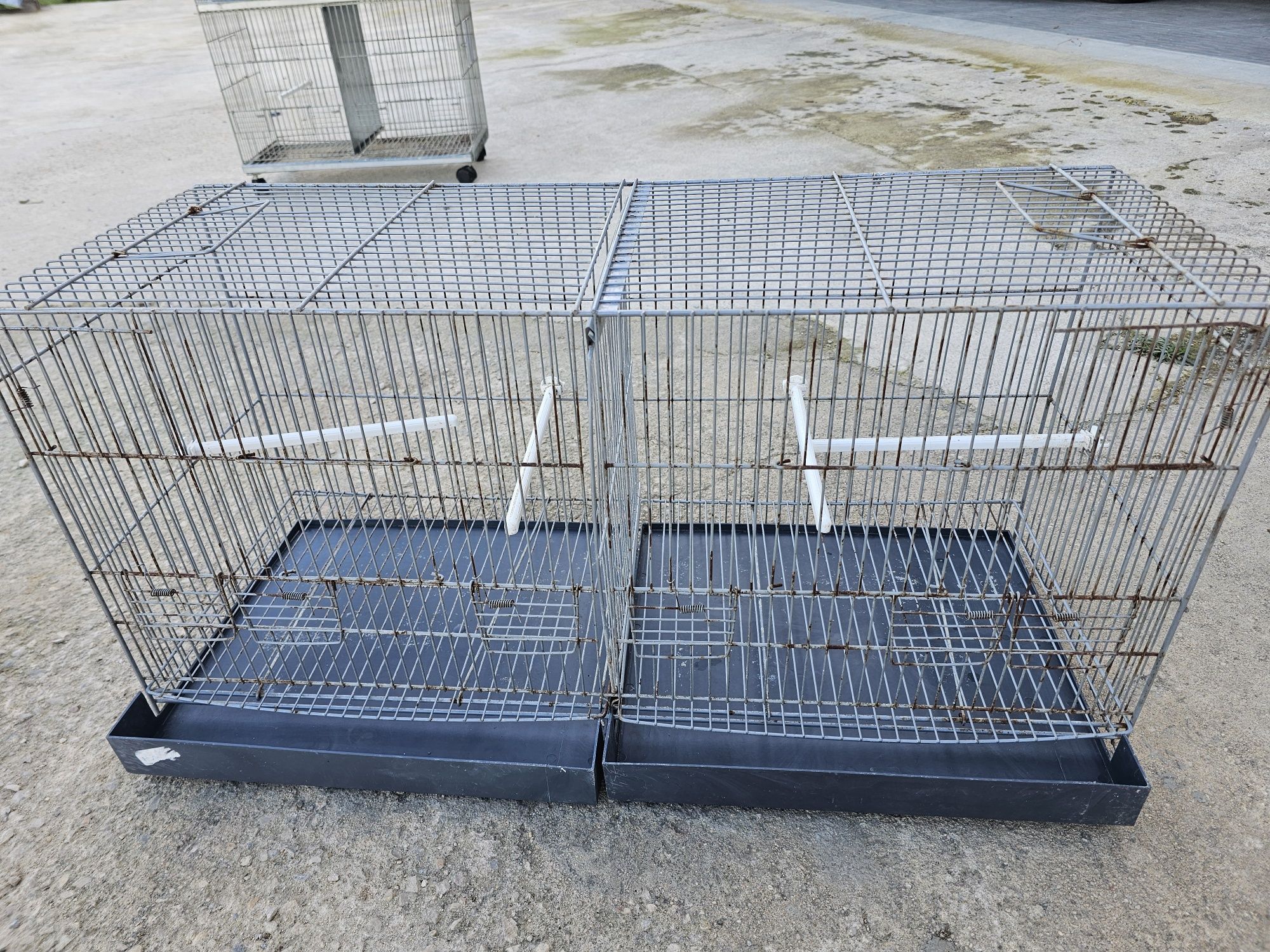 Gaiolas para aves